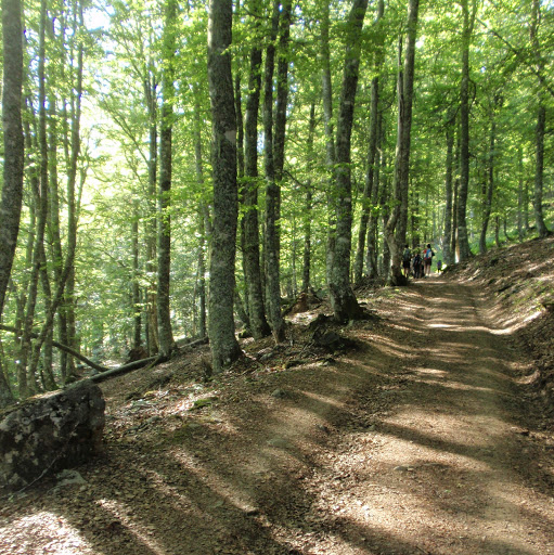 Alfredo Félix Claver