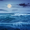 Dark Tide