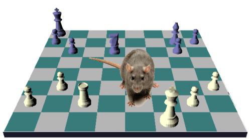 Zeno the Rat