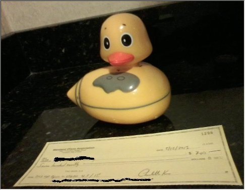 A Rich Duck