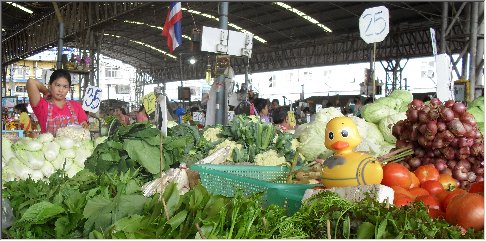 Duck in Thailand
