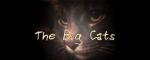 The BIG CATS Clan