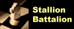 Stallion Battalion
