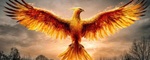 Phoenix Phoenix